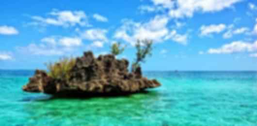 Honeymoon special: dreamy 6 night trip to Mauritius
